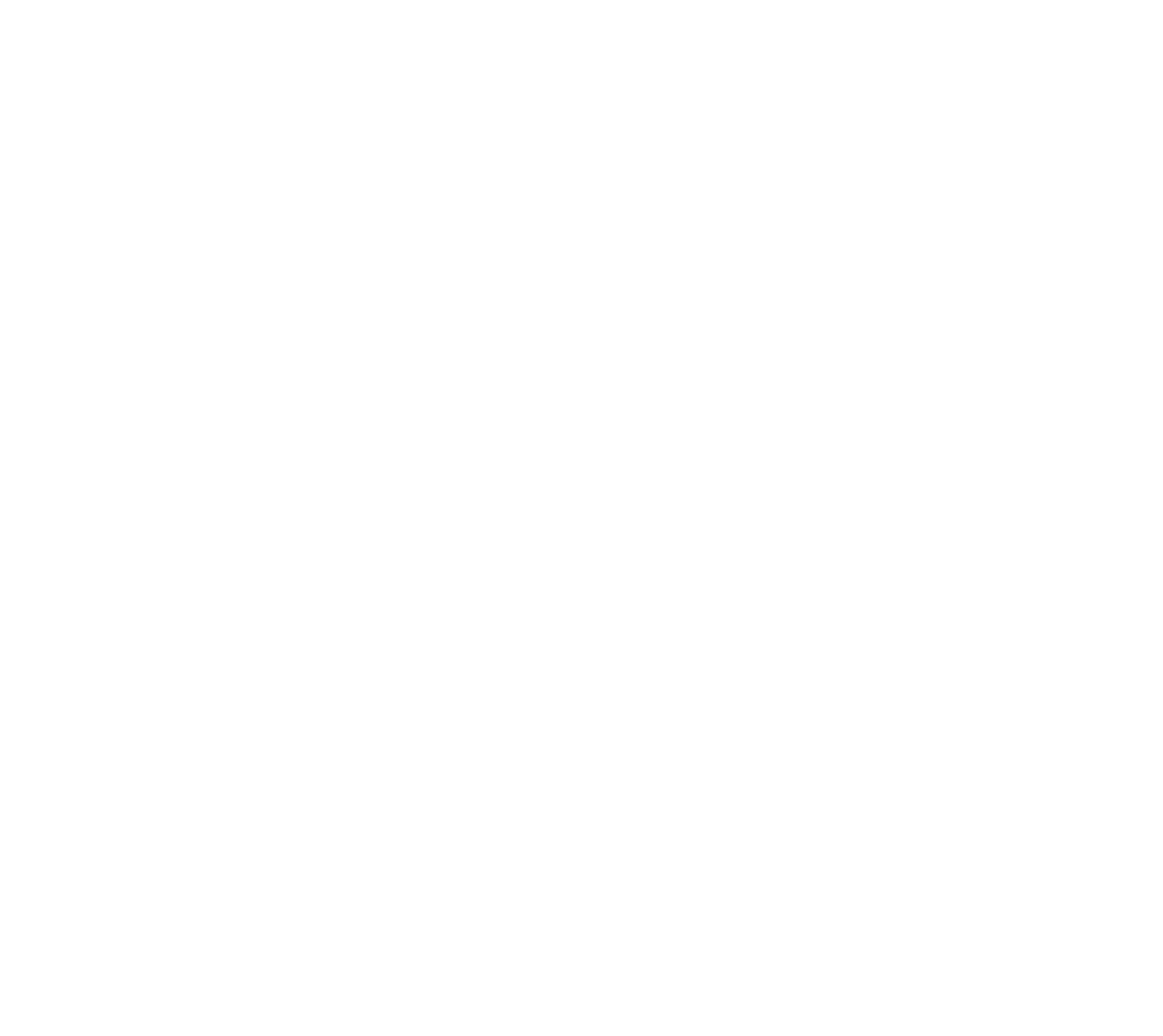 VSL Logo